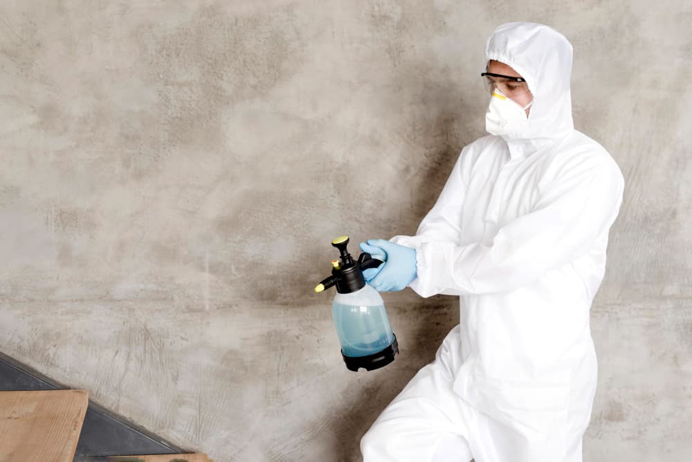 Mold prevention service